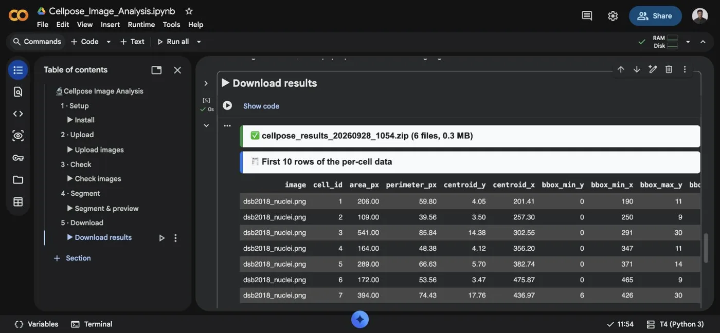 Step 6: the results zip folder is ready, with the first rows of per-cell measurements
